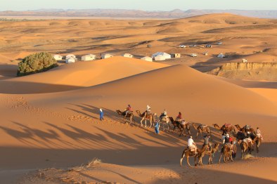 Camel Trek to Bedouin Tent